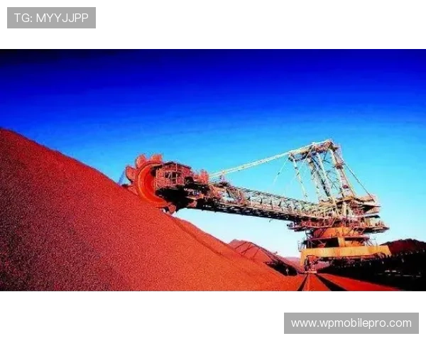 奥斯梅恩射门效率解析：机会把握能力能否支撑核心角色